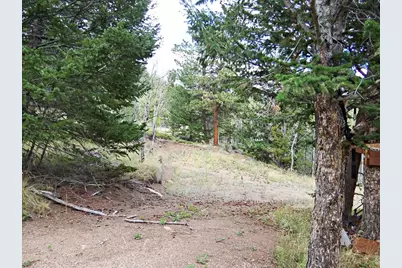 171 Spokane Ct, Red Feather Lakes, CO 80545 - Photo 12