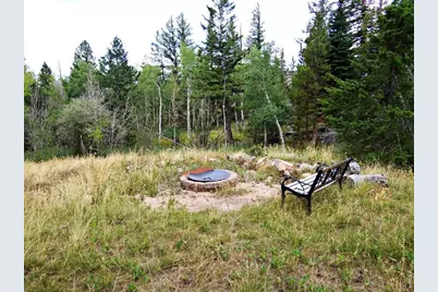 171 Spokane Ct, Red Feather Lakes, CO 80545 - Photo 10