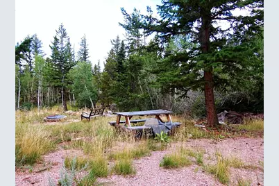 171 Spokane Ct, Red Feather Lakes, CO 80545 - Photo 6