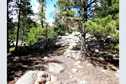 115 Wenro Ct, Red Feather Lakes, CO 80545 - Photo 2