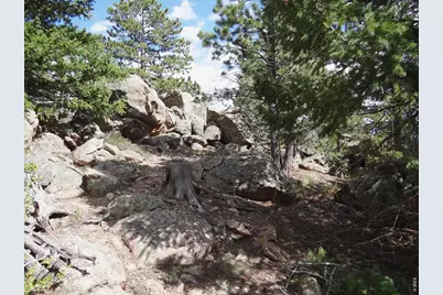 115 Wenro Ct, Red Feather Lakes, CO 80545 - Photo 6