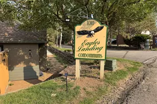 1010 S St Vrain Ave, Estes Park, CO 80517 - Photo 18