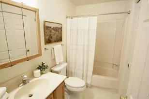 1010 S St Vrain Ave, Estes Park, CO 80517 - Photo 10