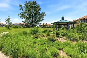6223 Kilmer Loop, Golden, CO 80403 - Photo 44