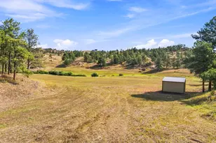 557 Red Blf Rd, Livermore, CO 80536 - Photo 48