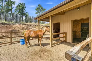 557 Red Blf Rd, Livermore, CO 80536 - Photo 40