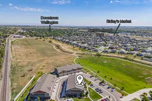 3663 Ronald Reagan Ave, Wellington, CO 80549 - Photo 36