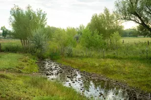2525 W County Rd 4, Berthoud, CO 80513 - Photo 6