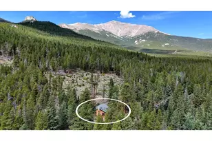 628 County Rd 113S, Allenspark, CO 80540 - Photo 2