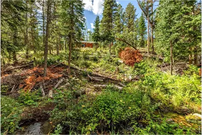 628 County Road 113S, Allenspark, CO 80540 - Photo 16