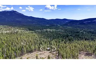 628 County Rd 113S, Allenspark, CO 80540 - Photo 22