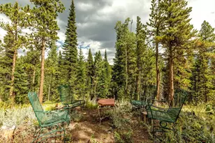 628 County Rd 113S, Allenspark, CO 80540 - Photo 18