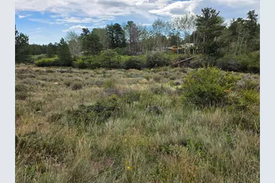 0 Lone Pine Ct, Red Feather Lakes, CO 80545 - Photo 4