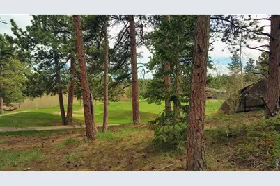 520 Fox Acres Drive W Dr W, Red Feather Lakes, CO 80545 - Photo 1