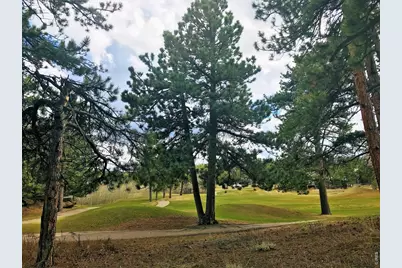 520 Fox Acres Drive W Dr W, Red Feather Lakes, CO 80545 - Photo 4