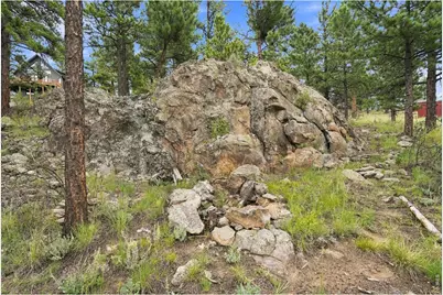 313 Deer Trail Dr, Bailey, CO 80421 - Photo 42