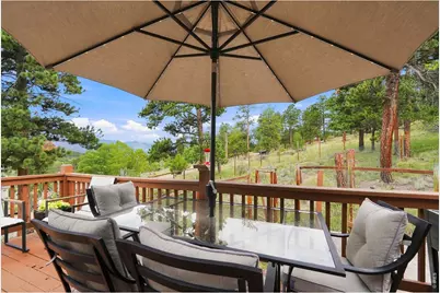 313 Deer Trail Dr, Bailey, CO 80421 - Photo 26