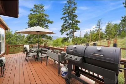 313 Deer Trail Dr, Bailey, CO 80421 - Photo 30