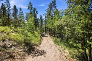 212 Elk Pl, Black Hawk, CO 80422 - Photo 40