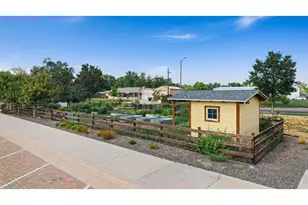 240 Urban Prairie Street, Fort Collins, CO 80524 - Photo 32