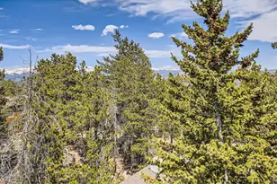 33 L Rd, Golden, CO 80403 - Photo 38