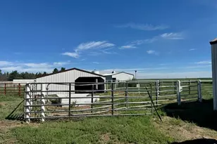 15758 Co Rd 95, Haxtun, CO 80731 - Photo 28