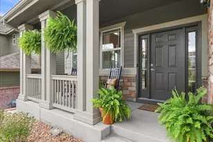 2245 Stonefish Dr, Windsor, CO 80550 - Photo 28