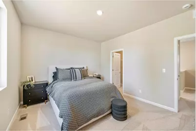 656 Noola St, Windsor, CO 80550 - Photo 20