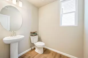 656 Noola St, Windsor, CO 80550 - Photo 12