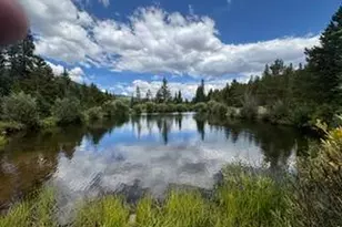 142 Mescalero Dr, Red Feather Lakes, CO 80545 - Photo 1