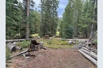 142 Mescalero Dr, Red Feather Lakes, CO 80545 - Photo 34