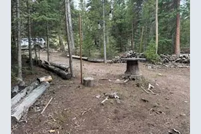 142 Mescalero Dr, Red Feather Lakes, CO 80545 - Photo 28