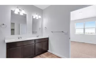 5625 Gelbray Pl, Windsor, CO 80528 - Photo 24
