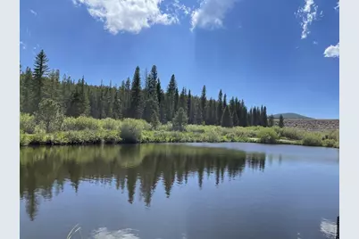 230 Hatchetumi Dr, Red Feather Lakes, CO 80545 - Photo 38