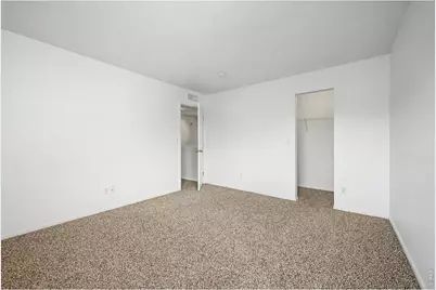 3505 Dinosaur St, Castle Rock, CO 80109 - Photo 26