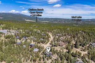 14 Sundown Trail, Nederland, CO 80466 - Photo 46