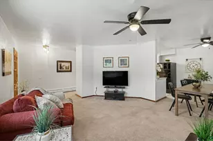 515 7th St, Windsor, CO 80550 - Photo 6