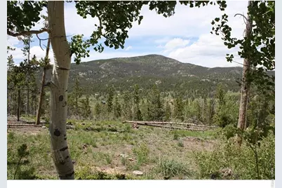 5713 N County Road 73C, Red Feather Lakes, CO 80545 - Photo 10