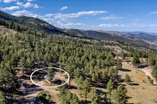 3723 Blue Mountain Trail, Lyons, CO 80540 - Photo 4