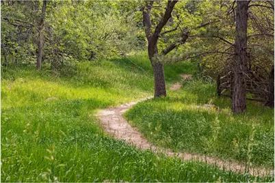 543 Linden Park Dr, Boulder, CO 80304 - Photo 34