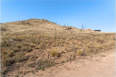 743 Horse Mountain Dr, Livermore, CO 80536 - Photo 10
