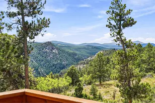 3612 Ridge Rd, Nederland, CO 80466 - Photo 42