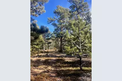 399 N Skinner Rd, Allenspark, CO 80510 - Photo 8