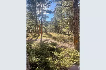 399 N Skinner Rd, Allenspark, CO 80510 - Photo 12