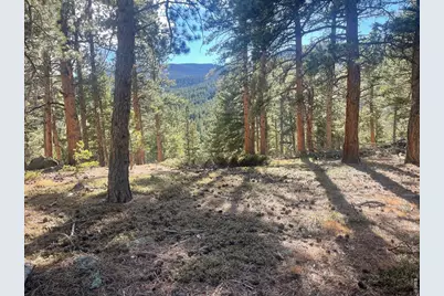 399 N Skinner Rd, Allenspark, CO 80510 - Photo 6