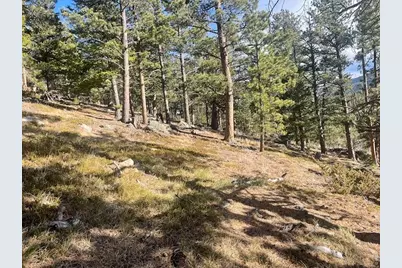 399 N Skinner Rd, Allenspark, CO 80510 - Photo 10