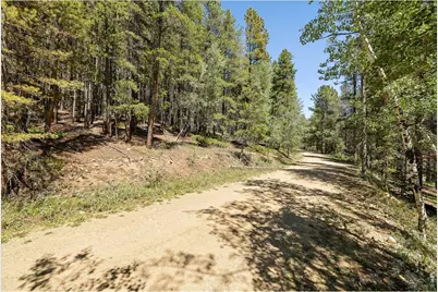 0 Spruce Way, Nederland, CO 80466 - Photo 6