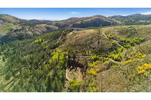 646 Stormy Peaks Dr, Bellvue, CO 80512 - Photo 46