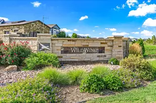 6923 Winter Peak Ct, Timnath, CO 80547 - Photo 40