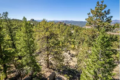 684 Iron Mountain Dr, Livermore, CO 80536 - Photo 14